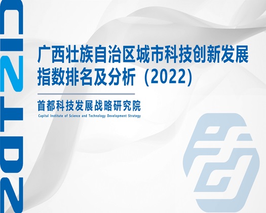 男人日B网占【成果发布】广西壮族自治区城市科技创新发展指数排名及分析（2022）